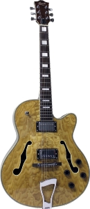 GUITARE ELECTRIQUE // ELECTRIC GUITAR